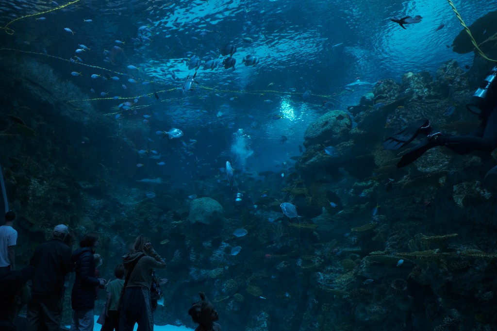 Seattle Aquarium